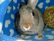 ままがまた何か買ってきたじょ？何だろう（興味津々）