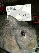 お名刺ちょーだいいたしました~☆