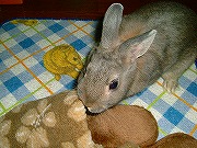 スリッパと馴染むユリナ