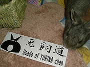 『兎飼道』・・・まずはカジッテみる!