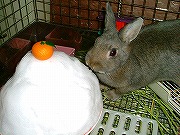 初めての「雪」♪　みかん・のっけ