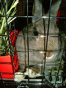 野生のユリナ。「早く　おやつを　ちょぉ～だいっ！！！」