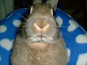 「ぶちゃいくユリナがゆく！」００４