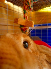 見よ！ポルテさまの「どあっぷ顔」ら～！！！