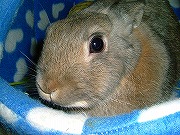 もっといっぱい「撫で撫で」して欲しいなぁ～～～