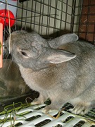 んっく！んっく！ごっきゅごきゅ！