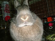 じろ～～～～ん！迫力なワタクシ・・・。