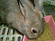 食欲旺盛！ぱくぱくユリナ～♪♪♪