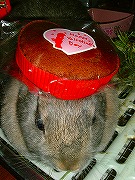 バレンタイン：チョコレートマフィン「のっけ」