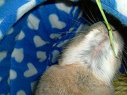 「ぶちゃいくユリナがゆく！」００２