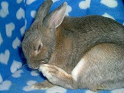 自慢の　あんよ☆