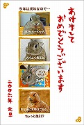 チョコくんからの「年賀状」