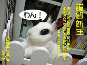 メイクちゃんからの「年賀状」