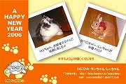 サンちゃん＆しぃちゃんからの「年賀状」