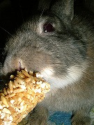 美味しい～～～～～～～～～っ♪♪♪　夢中なユリナ♪