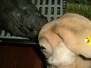 ちょっとぉ～！　ナニなのぉ～？？？コレって？？？（ムカっ