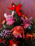 ポルテちゃんからの「素敵な贈り物☆」