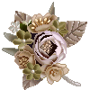 ★　ｃｏｒｓａｇｅ　★