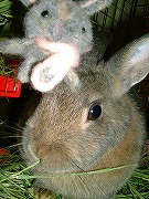 「んんん？？？」この可愛いモノって一体？？？