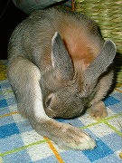 失礼～食糞ちぅ！見ちゃいや～～～～～～ん！