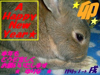 ☆　Happy　New　Year　２００６　☆