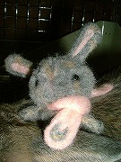 ポルテちゃんからの贈り物「みに☆ゆりな」