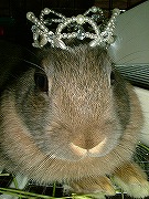 【ばに～☆ふらっしゅ】ユリナ００２