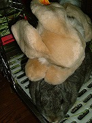 や～～～～～ん！　なんてコトするのらぁ～～～（抗議