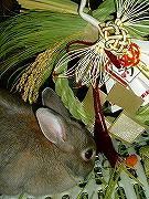 ユリナの初めてのお正月～☆