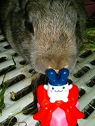 クンクン（匂いを確認ちぅ！）　ふんっ！気にいらなぁ～い！！！