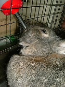 夢中で　おみじゅ～☆