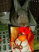 今年もどうぞ宜しくお願いいたします(*＾ω＾*)