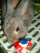 んんん～？何よぉ～？これって！！！