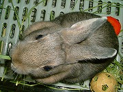 上からユリナさん～☆　妙なブッタイ・・・。