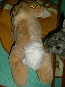 このウサギさんは、ユリナより　おっきいゾ・・・・・・。　