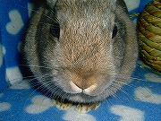 何だ？この「丸い」ブッタイは？？？００３