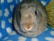 何だ？この「丸い」ブッタイは？？？００４