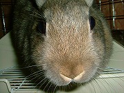 必殺！「遊んでちょ～だい光線」発射ーーー！