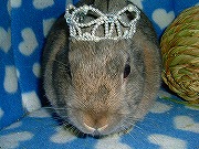 何だ？この「丸い」ブッタイは？？？００５