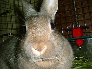 んん～？なぁ～～～んか用あるのぉ～？？？