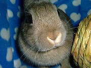 遊んで～☆遊んで～☆（きら～～～～～～ん☆）