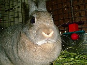 なぁ～～んか「迫力満点」なワタクシ・・・。