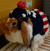 【ばに～☆ふらっしゅ】ポルテちゃん００２