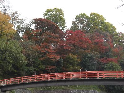 龍田川・橋