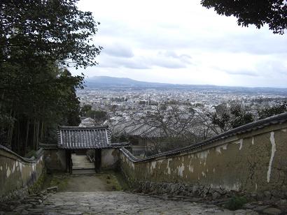 門から見た絶景