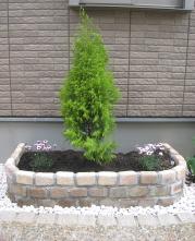 コピー (1) ~ IMG 921_1_1.jpg