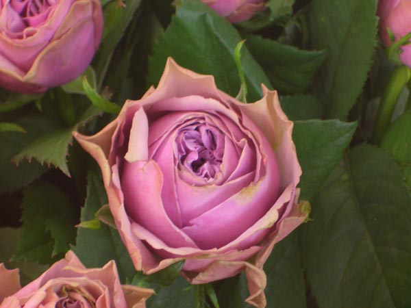 2007.4.28 005.jpg