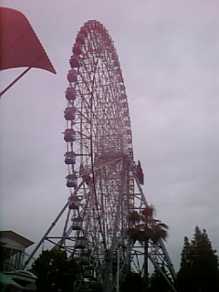 DVC00017.JPG