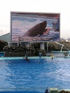 DVC00011.JPG