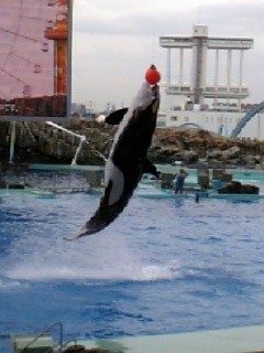 DVC00008.JPG